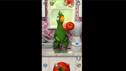 Talking Pierre the Parrot Free Android App Review