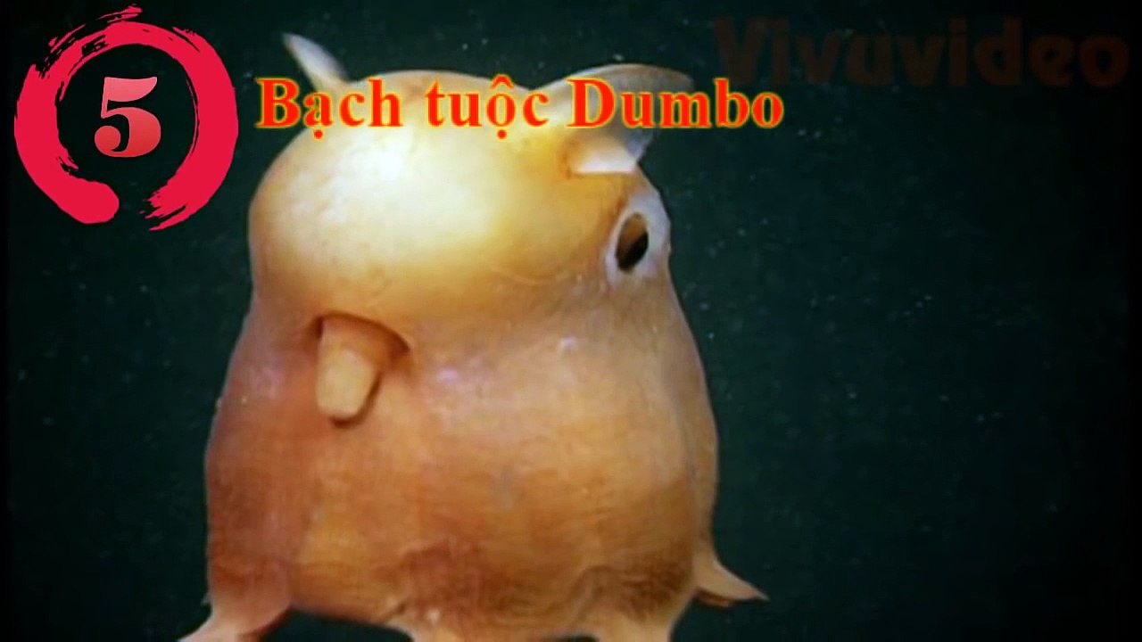 5 Animals In Pokemon Is There Really