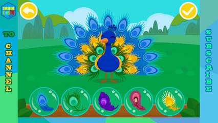 Kids Game app. Learning forest dwellers. Educational app for Kids