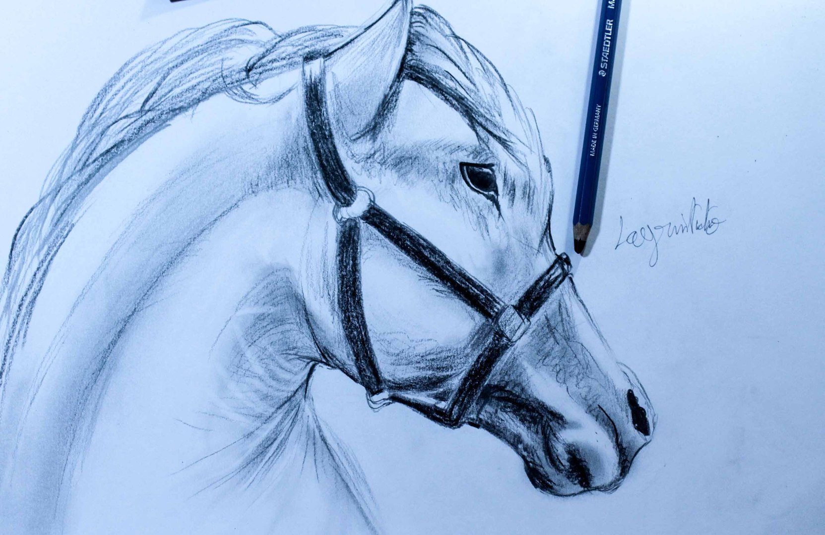 How to draw a Horse تعلم رسم حصان بقلم الرصاص