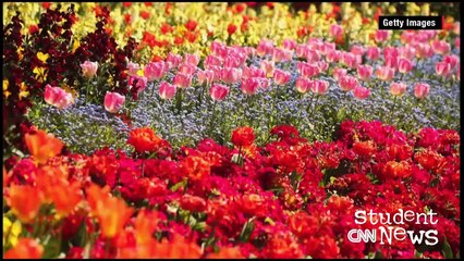 CNN Student News - January 3, 2017 - English Sub