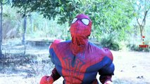 Fun SuperHero In Real Life | Spiderman Hulk Playing Hide & Seek Game | Funny SuperHero Movie