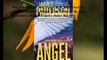 Download Angel - Free Preview: First 23 Chapters: A Maximum Ride Novel ebook PDF