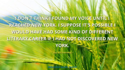 Jay McInerney Quotes #1