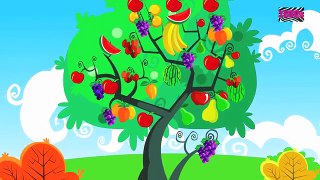 Fruits Song ForChildren