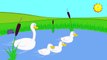 Childrens Songs - Three Little Ducks - Kid's Nursery Rhymes, Music & Songs