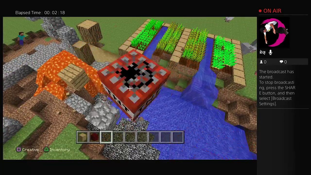 Gaming  minecraft (15)