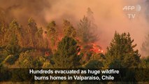 Chile forest fire ravages 50 hectares, destroys homes