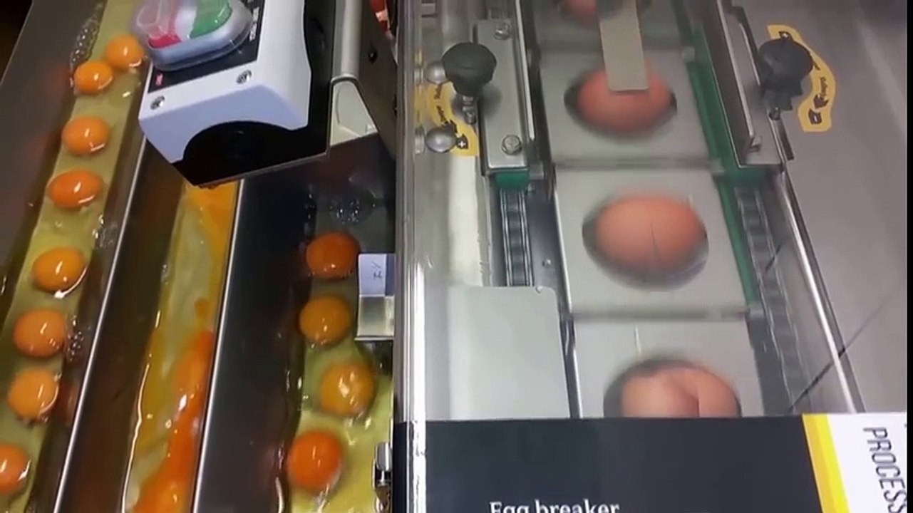 Extreme Egg Breaking and Separating Machines  OVO-TECH Machines in Action