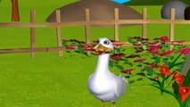 Five Little Ducks went out one day - 3D Animation English Nursery Rhymes for Children