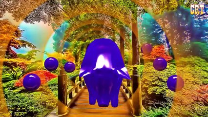 Sheep Colourful Colour Song || Learning Nursery Rhymes For Cartoon Kids Rhymes Compilation