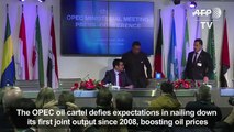 OPEC boosts oil price with output cut