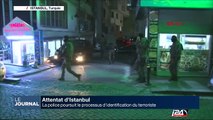 Istanbul : la police poursuit le processus d'identification du terroriste