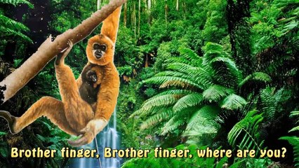 Finger Family Lion Dinosaurs Godzilla King Kong Tiger Vs Animals Cartoons For Children Rhymes