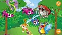 Discover With Your Toddler The Animals - Free Animals Puzzles for Kids