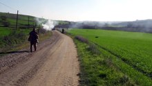 wild boar hunting - wild boarattack