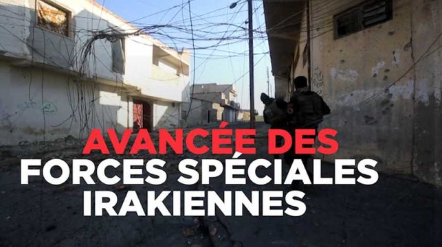 Hollande aux Kurdes : Il n'aurait pas été possible de repousser Daech sans vous