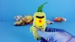 SpongeBob SquarePants Toys Sonic Wacky Pack with Patrick Star Plankton SpongeBob Doodlebob