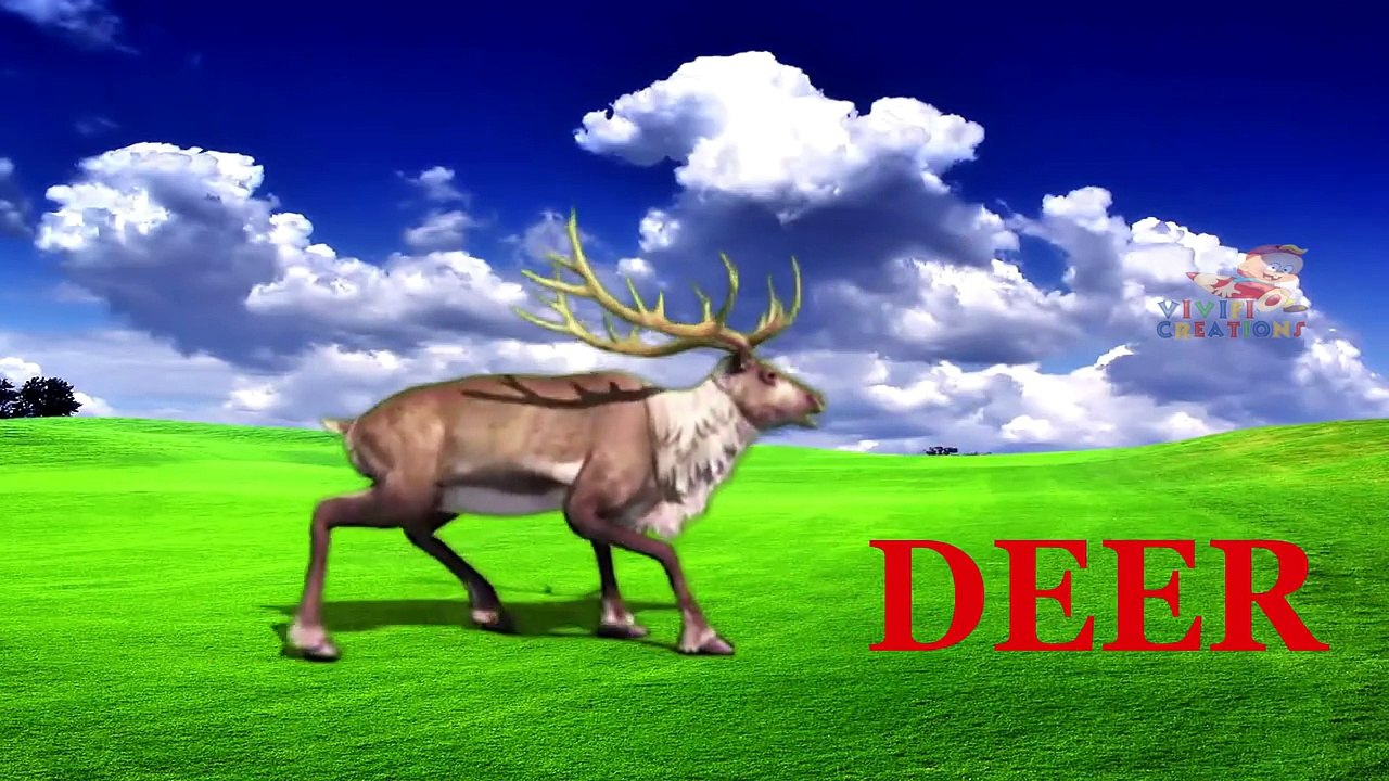 Learn wild Animals Names And Sounds For Kids   Wild Animals   Farm Animals   Pet Animals