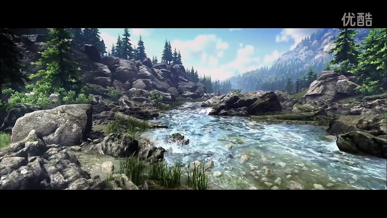 Dark and Light - Trailer
