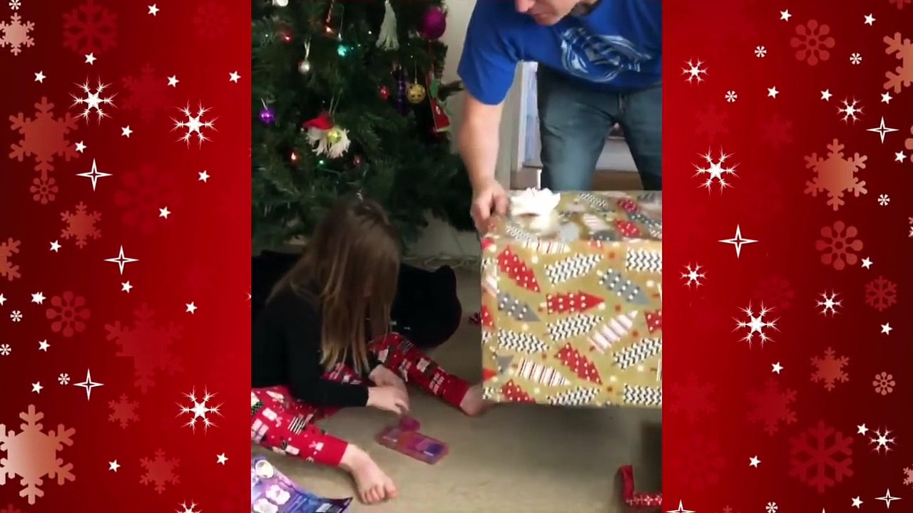 Cat surprises 3 year old girl for Christmas