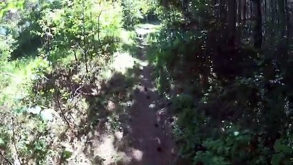 Visit Bulgaria - MTB Enduro Ride