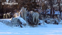 Frozen trees and docks on lake shore in Canada