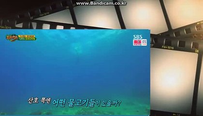 사설토토솔루션,사설솔루션 ,사설사이트제작,사설토토사이트,바카라게임최초접목 카톡:haricuty 스카이프:cuty hary