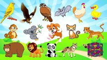 ‫تعليم أصوات الحيوانات للأطفال - أسماء وأصوات الحيوانات‬ Toyour kids