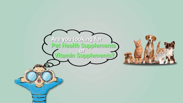 Vetafarm Products – A Leading Online Vendor for Pet Medications