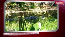 Une touriste française croquée par un crocodile en Thaïlande