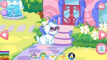 Animal Doctor Care Puppies Need Your Help Care of Pets Game App for Kids