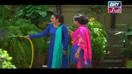Babul Ki Duayen Leti Ja - Episode 42 on Ary Zindagi in High Quality - 3rd January 2017