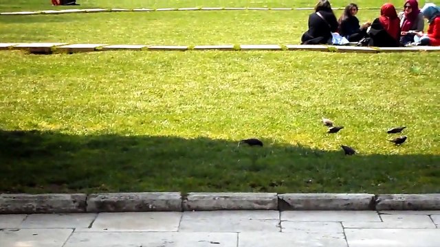 ADhAN رحلة الى تركيا A trip to Turkey فى تركيا اسمع اذان الضهر