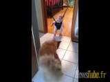 Un chien apprend à sauter !