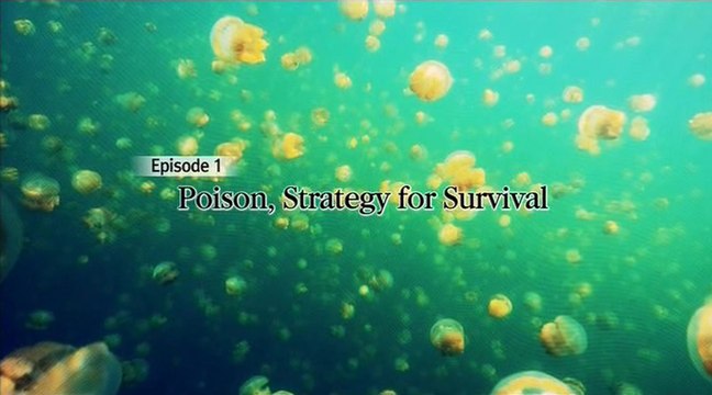 Яд. Достижение эволюции 01. Яд и стратегия выживания (2015)