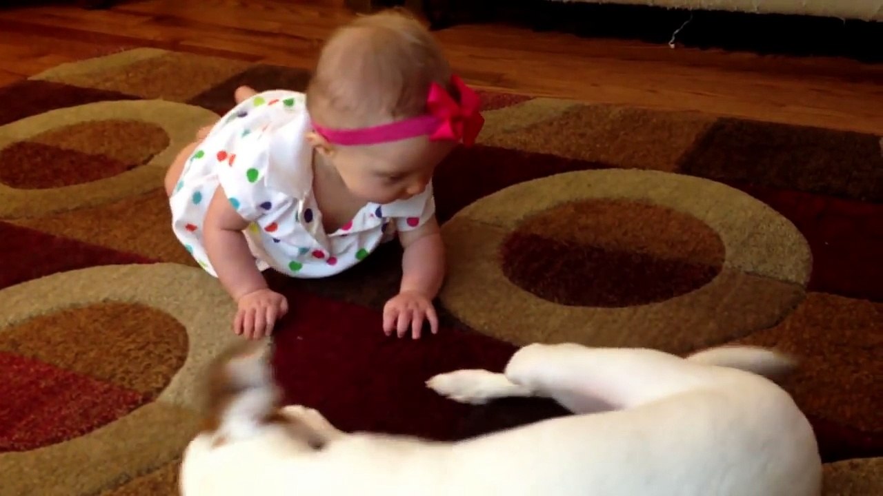 Un chien apprend à un enfant à ramper !