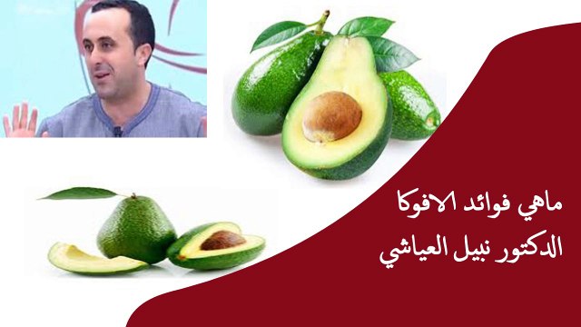 ماهي فوائد الافوكا الدكتور نبيل العياشي