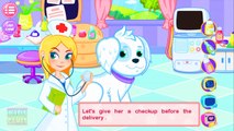 Animal Doctor Care. Puppies need your help. Care of Pets in the Hospital. Kids Game App.