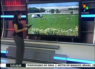 Download Video: México: gasolinazos podrían provocar un alza en productos del campo