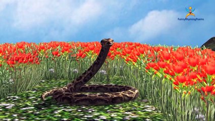 3d animals Finger Family Nursery Children 3d English Popular Rhymes | Finger Family Song