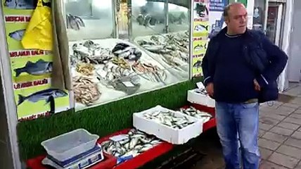 Hangi Balık Şoklanır Lütfen İzleyin