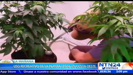 Activista advierte que se debe crear una “reglamentación” que regule el consumo de marihuana medicinal en Florida