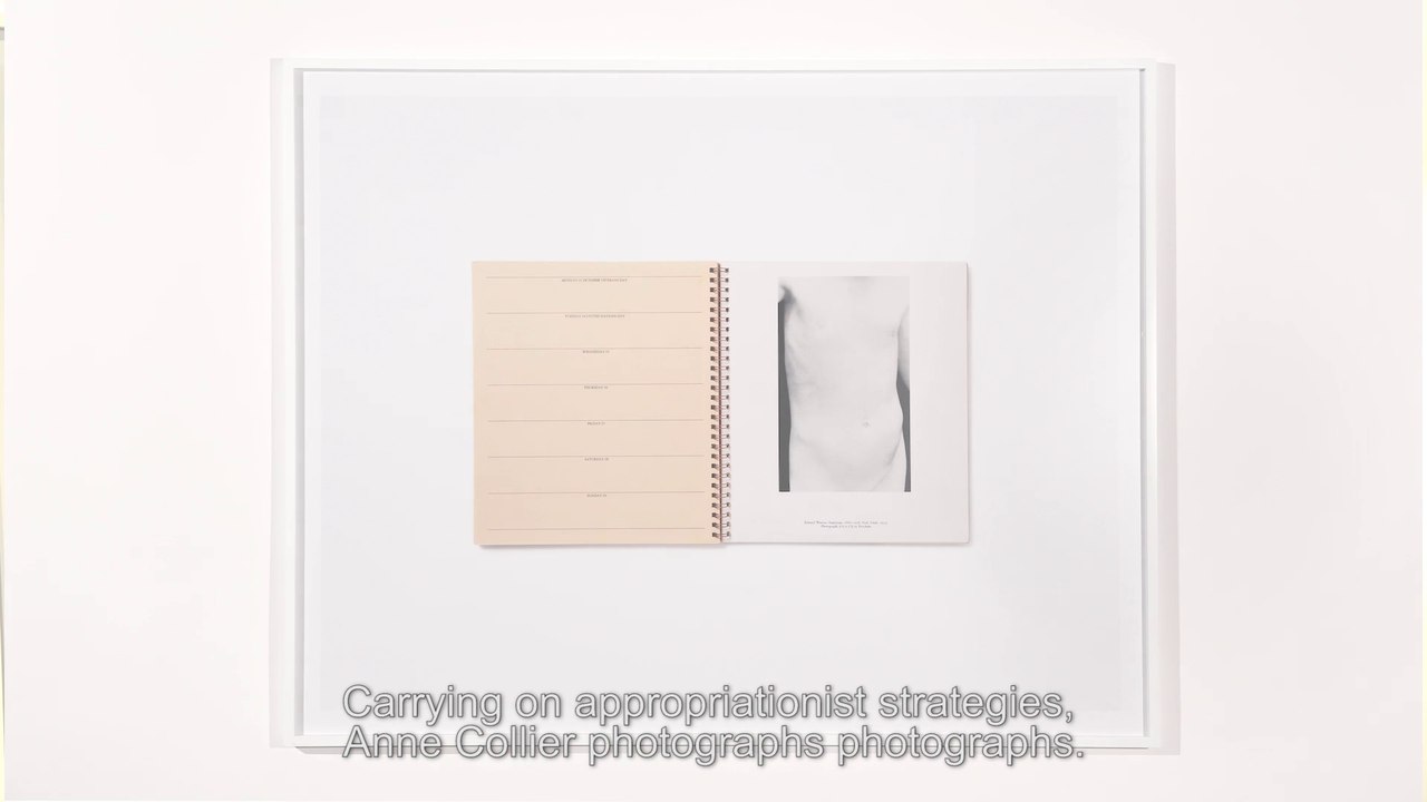 Anne Collier, Veterans Day (Nudes, 1972 Appointment Calendar, the Museum of Modern Art, New York, Edward Weston) - 2011 VOSTEng