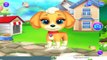 My Cute Little Pet - Kids Learn to Care Cute Little Puppy Android Gameplay