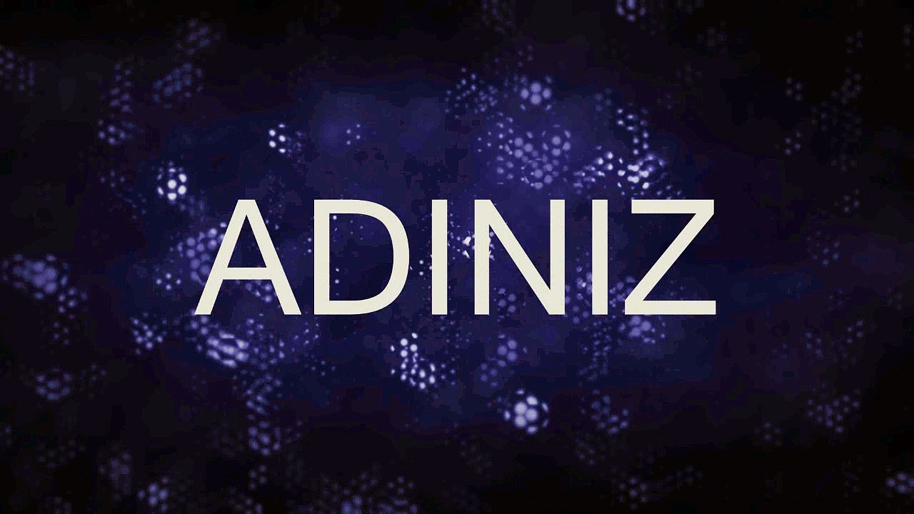 Intro Tasarımı