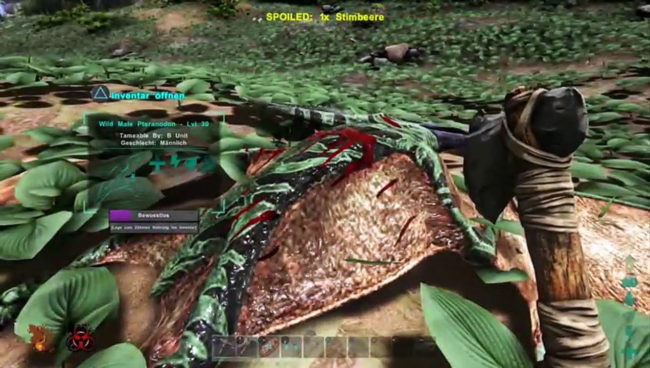 Ark (7)