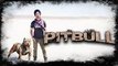 DILJIT DOSANJH ( NEW SONG ) - PITBULL -- Ft. Preet Hundal -- New Punjabi Songs 2016 -- Full HD - YouTube