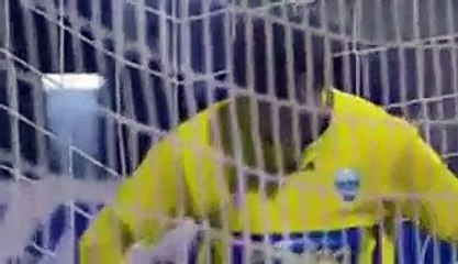 All Goals & Highlights | Levadiakos 0-1 PAOK 03 01 2017 HD