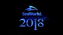 SeaWorld San Diego Electric Eel New 2018